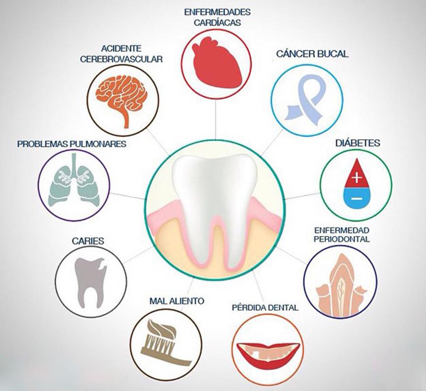Relació entre salut bucal i salut general | Centre Dental Cise