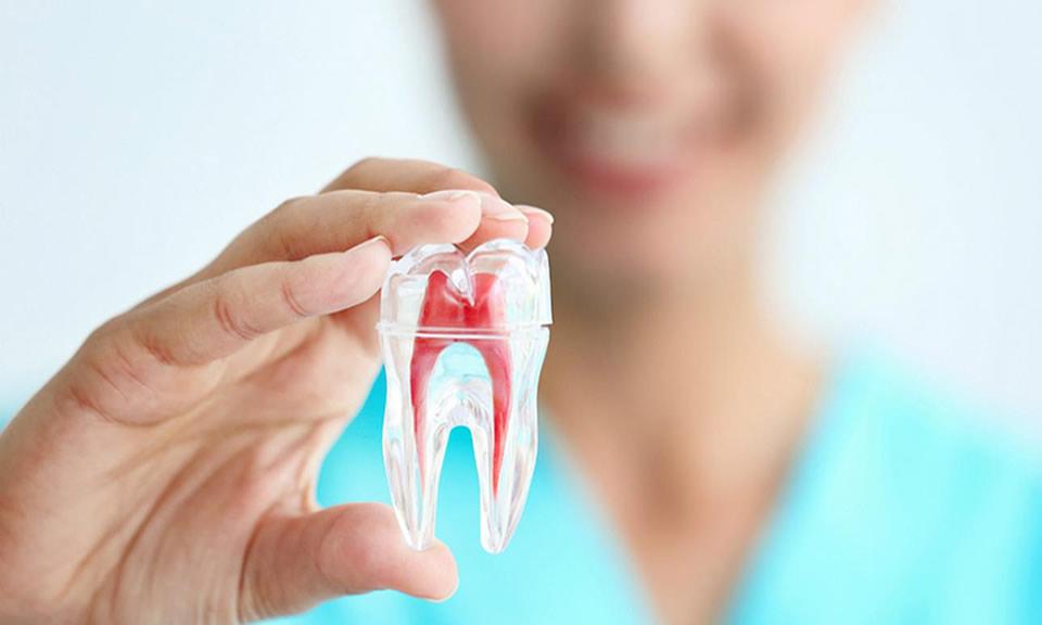 Què és una endodòncia | Centre Dental Cise
